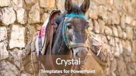  Presentation with iran - Cool new slide deck with dunkey with bags in iran backdrop and a tawny brown colored foreground