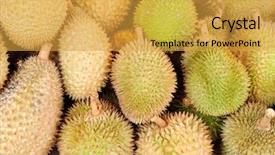  Presentation with durian - Colorful presentation design enhanced with durian background backdrop and a  colored foreground