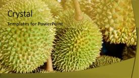  Presentation with durian - Audience pleasing presentation theme consisting of durian fruit backdrop and a gold colored foreground