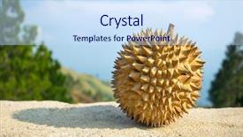  Presentation with durian - Presentation with durian fruits background and a sky blue colored foreground