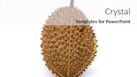  Presentation with durian - Slide set enhanced with durian-isolated-white-background-durian background and a white colored foreground