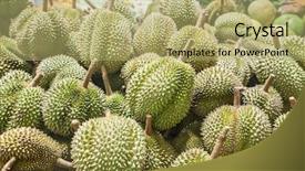  Presentation with durian - PPT theme having durian background and a mint green colored foreground