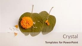  Presentation with dussehra - Presentation theme having dussehra-or-dashahara-greeting-card and a lemonade colored foreground