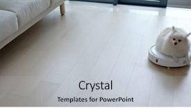  Presentation with robotic - Presentation with dust bowl - pomeranian dog sit on robotic background and a lemonade colored foreground