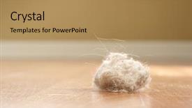  Presentation with bunny - Slides having dust bunny background and a coral colored foreground