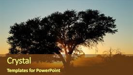  Presentation with dust - Beautiful slides featuring dust kalahari desert south africa backdrop and a tawny brown colored foreground