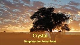  Presentation with kalahari - Slide set with dust kalahari desert south africa background and a tawny brown colored foreground