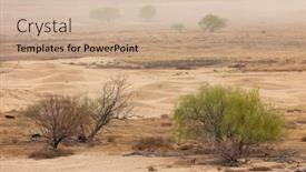  Presentation with south africa - Cool new slides with dust-storm-with-windblown-trees backdrop and a coral colored foreground