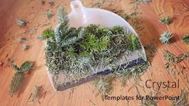  Presentation with needles - Slide deck with dustpan-with-pine-tree-branches background and a coral colored foreground
