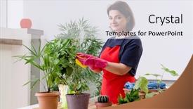  Presentation with turmeric plants - Beautiful presentation theme featuring dusty - female gardener with plants indoors backdrop and a sky blue colored foreground