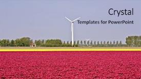  Presentation with dutch bank - Amazing PPT theme having dutch landscape tulipfields and windmills backdrop and a light blue colored foreground