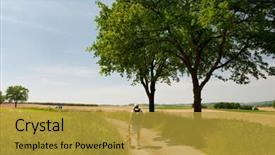  Presentation with dutch - Audience pleasing PPT theme consisting of dutch-landscape-with-man backdrop and a gold colored foreground