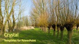  Presentation with dutch economy - Beautiful presentation featuring child development - pupils in library pointing backdrop and a coral colored foreground