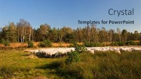  Presentation with sheep - Slides featuring dutch-sheep-herd-in-nature background and a light blue colored foreground