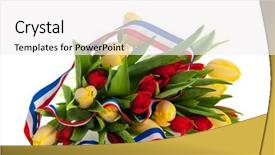  Presentation with dutch - Audience pleasing PPT theme consisting of dutch tulips with flag ribbon backdrop and a  colored foreground