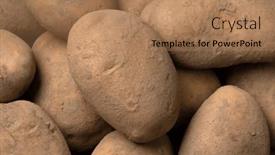  Presentation with dutch - Presentation theme consisting of dutch-variety-potato-called-bintje background and a coral colored foreground