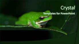  Presentation with tree sky trees green - PPT layouts consisting of dwarf green tree frog litoria fallax sitting and waiting on a leaf background and a wine colored foreground