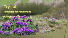  Presentation with czech republic - Slide deck featuring dwarf-iris-in-pusty-kopec background and a tawny brown colored foreground