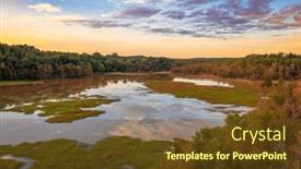  Presentation with wetland - Presentation enhanced with dyar-s-pasture-madison-georgia background and a tawny brown colored foreground
