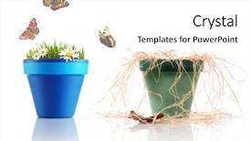  Presentation with superstition different templets - Audience pleasing presentation consisting of dying flower - two different environments backdrop and a white colored foreground