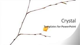  Presentation with dying - Audience pleasing slide deck consisting of dying garden - branch with dry leaf isolated backdrop and a  colored foreground