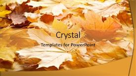  Presentation with beautiful fresh leaves water drops - Slide deck featuring dying leaf - beautiful colorful autumn leaves background and a yellow colored foreground