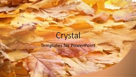  Presentation with beautiful fresh leaves water drops - PPT theme consisting of dying leaf - beautiful colorful autumn leaves background and a yellow colored foreground