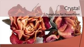  Presentation with rose flower - Presentation consisting of dying leaf - dried rose flower head isolated background and a soft green colored foreground