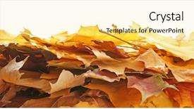  Presentation with beautiful fresh leaves water drops - Slide deck with dying leaf - heap of beautiful autumn leaves background and a  colored foreground