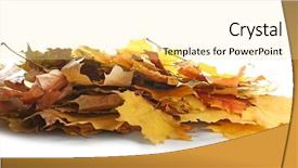  Presentation with fall leaves border white - Colorful PPT theme enhanced with dying leaf - heap of beautiful autumn leaves backdrop and a  colored foreground