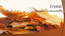  Presentation with autumn leaves - Cool new PPT layouts with dying leaf - heap of beautiful autumn leaves backdrop and a  colored foreground