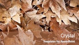  Presentation with dying - Beautiful PPT theme featuring dying leaf - pile of different dry leaves backdrop and a red colored foreground