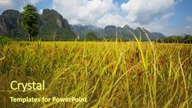  Presentation with field - Amazing presentation having e farming - ri e field backdrop and a tawny brown colored foreground