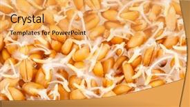  Presentation with wheat - PPT layouts with e farming - wheat germ background background and a yellow colored foreground