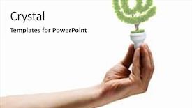  Presentation with hand holding plant - Audience pleasing PPT theme consisting of e mail address - human hand holding bulb backdrop and a white colored foreground