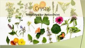  Presentation with design - PPT theme enhanced with eaf-selection-in-abstract-design background and a blonde colored foreground