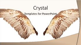  Presentation with eagle - Beautiful theme featuring eagle feather - two wings isolated backdrop and a lemonade colored foreground