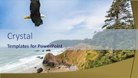  Presentation with seashore - Slide deck consisting of eagle-flies-over-the-seashore background and a light blue colored foreground