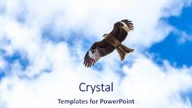 Presentation with bald eagle flying - Audience pleasing presentation theme consisting of eagle flying sky backdrop and a sky blue colored foreground