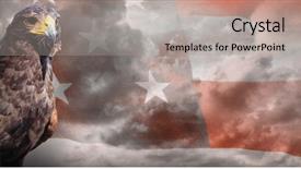  Presentation with eagle - Cool new PPT layouts with eagle on white background backdrop and a light gray colored foreground