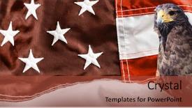  Presentation with eagle - Audience pleasing PPT theme consisting of eagle on white background backdrop and a red colored foreground