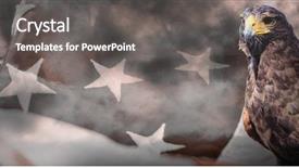  Presentation with eagle - Presentation design consisting of eagle on white background background and a gray colored foreground