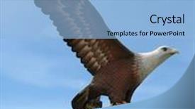  Presentation with eagle - Beautiful PPT theme featuring art decol - eagle square in kuah town backdrop and a light blue colored foreground