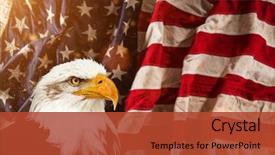  Presentation with bald - Amazing presentation having eagle with american flag patriotic backdrop and a red colored foreground