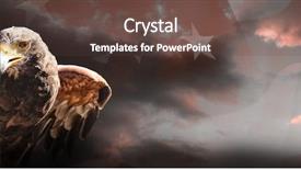  Presentation with spread - Slide set consisting of eagle with spread wings background and a tawny brown colored foreground