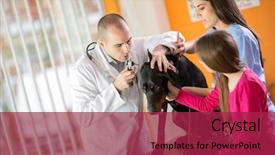  Presentation with physical examination for newborn - Slide deck featuring ear examination of great done background and a violet colored foreground