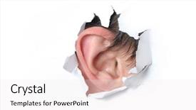  Presentation with ear - Beautiful presentation featuring ear in the hole backdrop and a white colored foreground