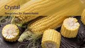  Presentation with maize - Slide deck enhanced with ear of maize or corn background and a gold colored foreground
