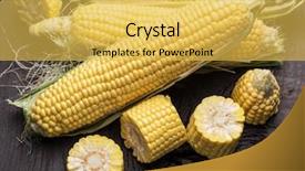  Presentation with maize - Presentation featuring ear of maize or corn background and a yellow colored foreground