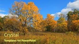  Presentation with scene - PPT theme with early-autumn-scene-in-michigan background and a tawny brown colored foreground